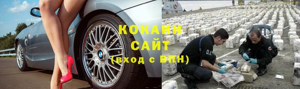шишки Надым