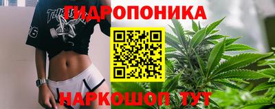 СК Лесосибирск