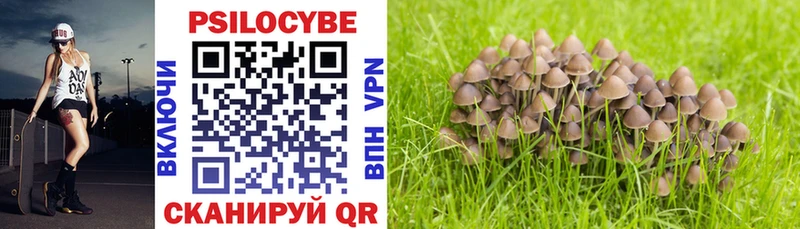 Галлюциногенные грибы Psilocybine cubensis что такое Комсомольск-на-Амуре